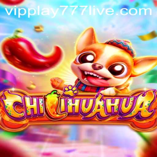 Exploring the Exciting World of CHILIHUAHUA with PLAY777